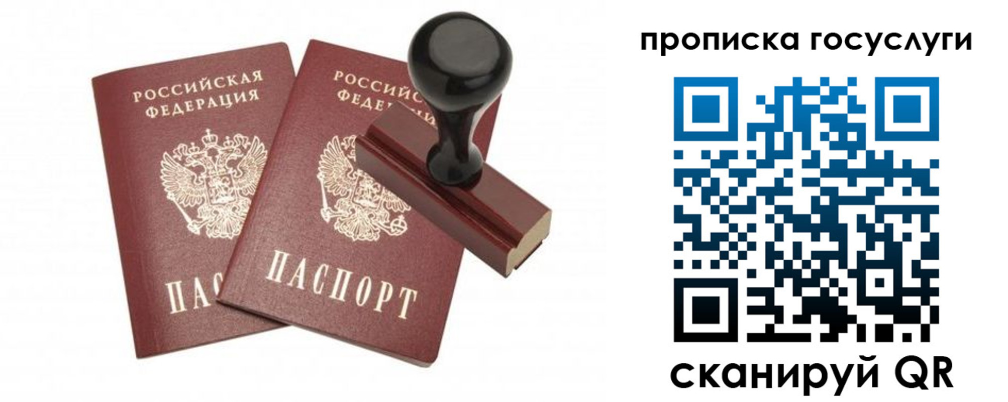 временная регистрация адрес в Кингисеппе